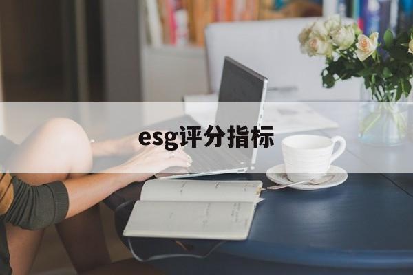 esg评分指标(ess评分是什么)